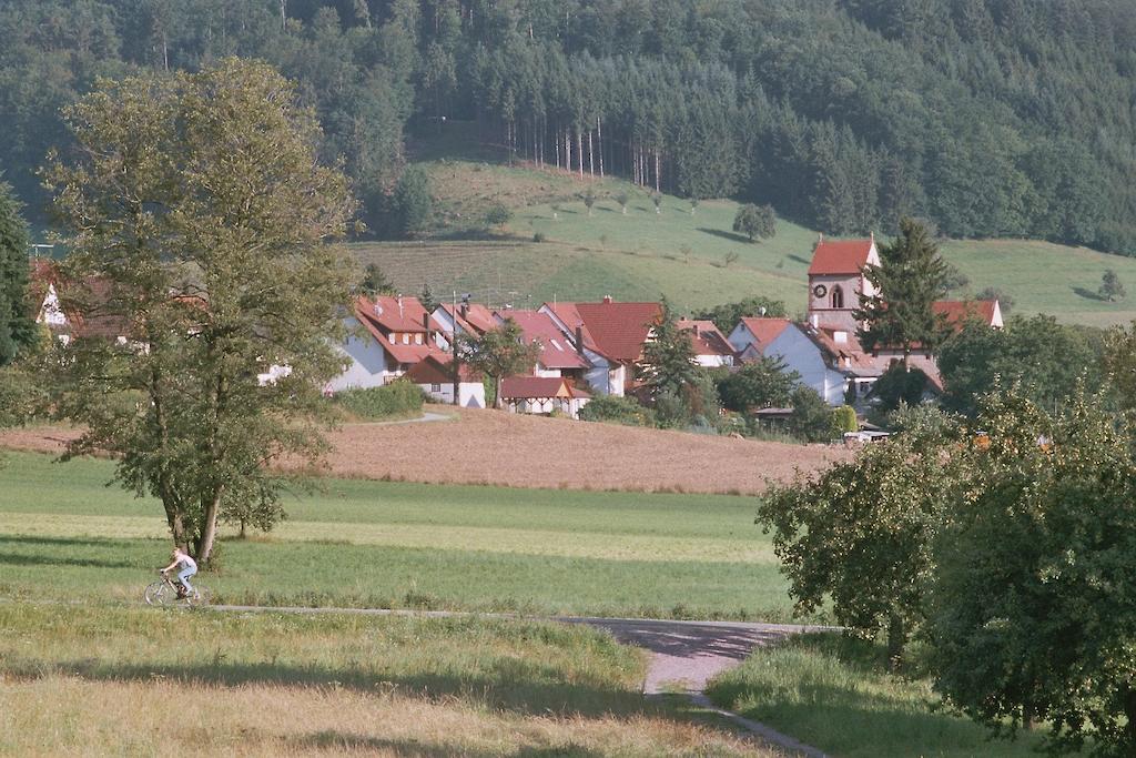 Landgasthof Ochsen Seelbach  Esterno foto